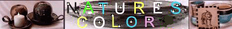 banner11.gif