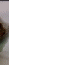 rotate2.GIF